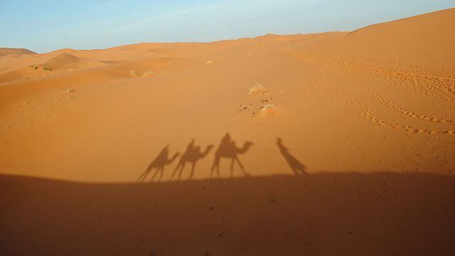 oken-kamelsiluett.jpg