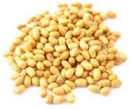 Pris på sojabönor, soybeans (SZ)