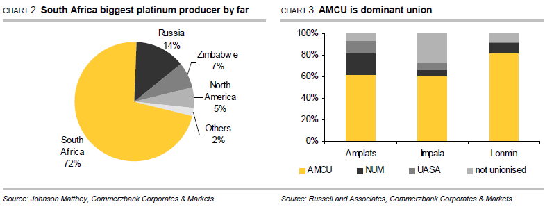 AMCU and platinum