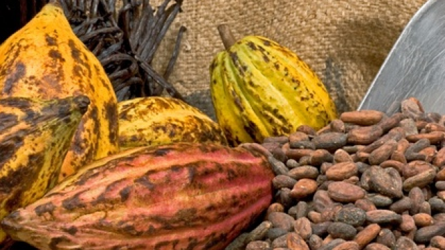 kakao-frukt-bonor-choklad-marknad-handla.png