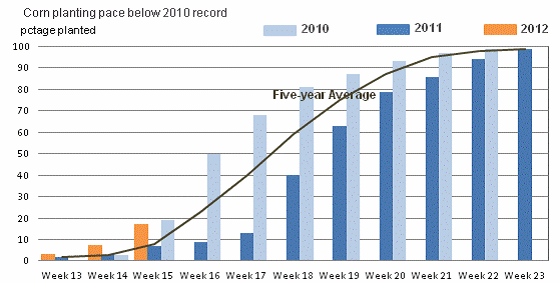 Corn planting pace