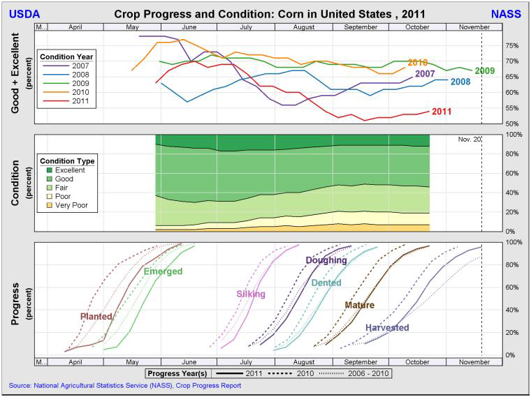 Crop progress and condition - Corn US 2011