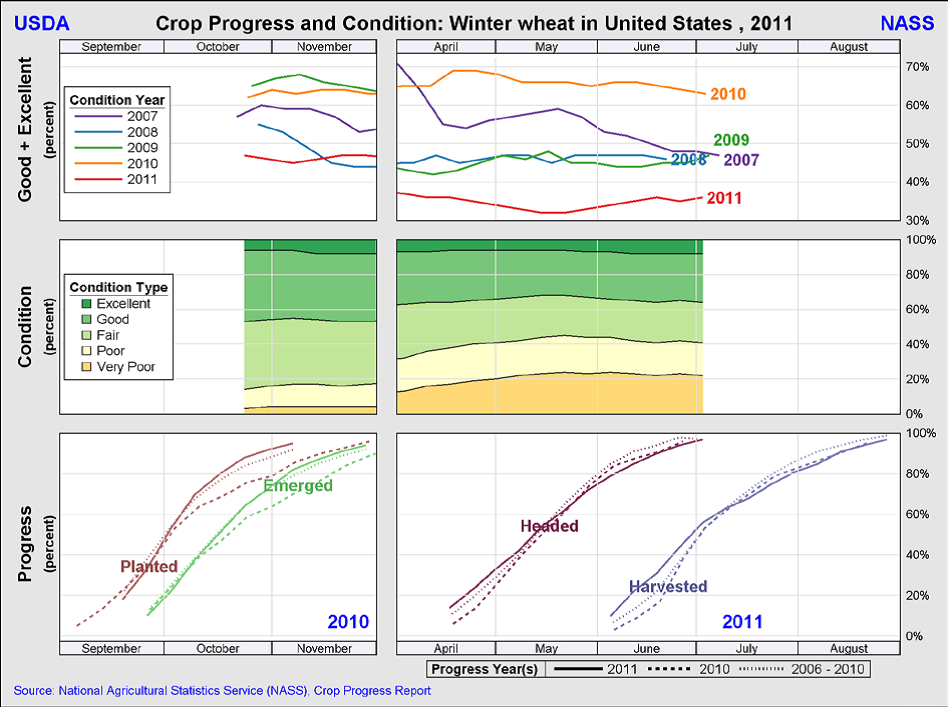 Crop progress and condition - Winter Wheat US 2011