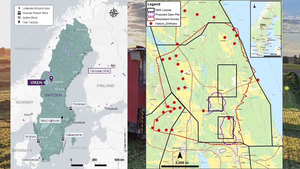 District Metals verksamhet i Sverige