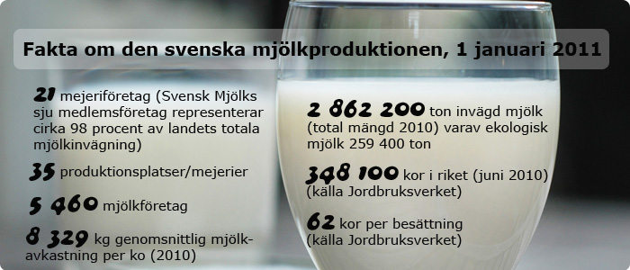 Fakta om svensk mjölkproduktion