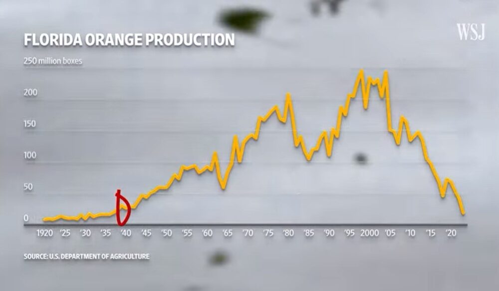 Graf över hur mycket apelsiner Florida odlar