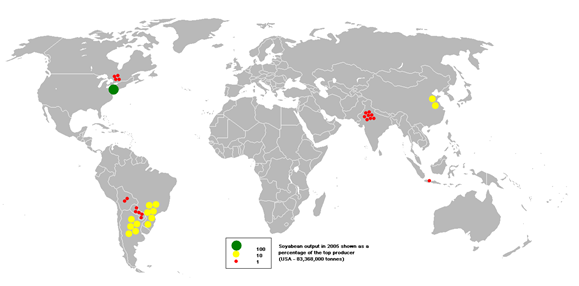 Global produktion av sojabönor år 2005