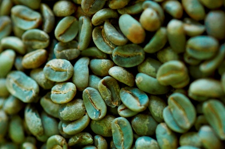 Gröna kaffebönor