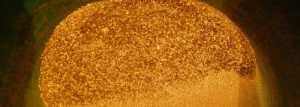 Guld från guldbolaget Kopy Goldfields
