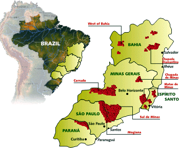 Karta över kaffeodling i Brasilien