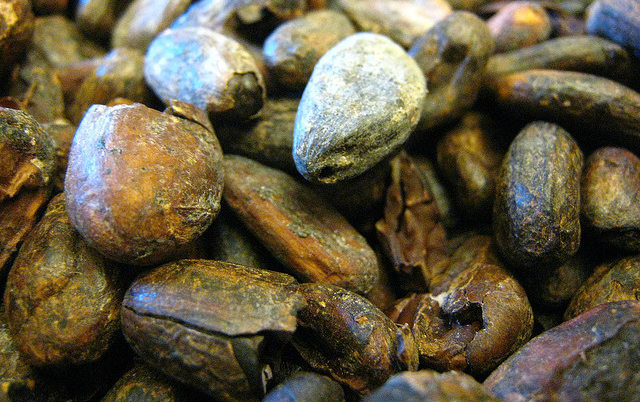 Kakao (CC), bönor i närbild