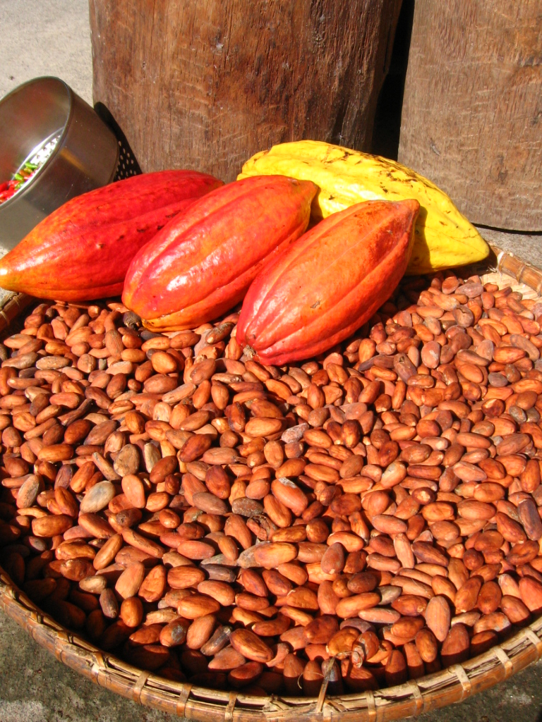 Kakao, bönor och frukt