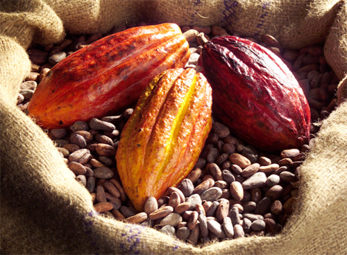 kakao-frukt.jpg