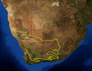 Karoo-regionen i Sydafrika har mängder av shale gas