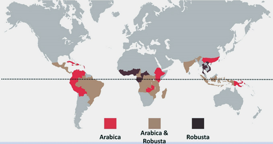 Karta över producentländer av kaffe, Robusta och Arabica