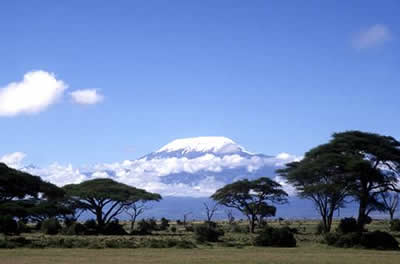 Kilimanjaro-berget, i närheten av Kilimanjaro Gold