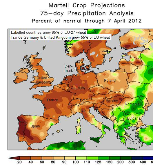 Martell crop projections - Prognoser