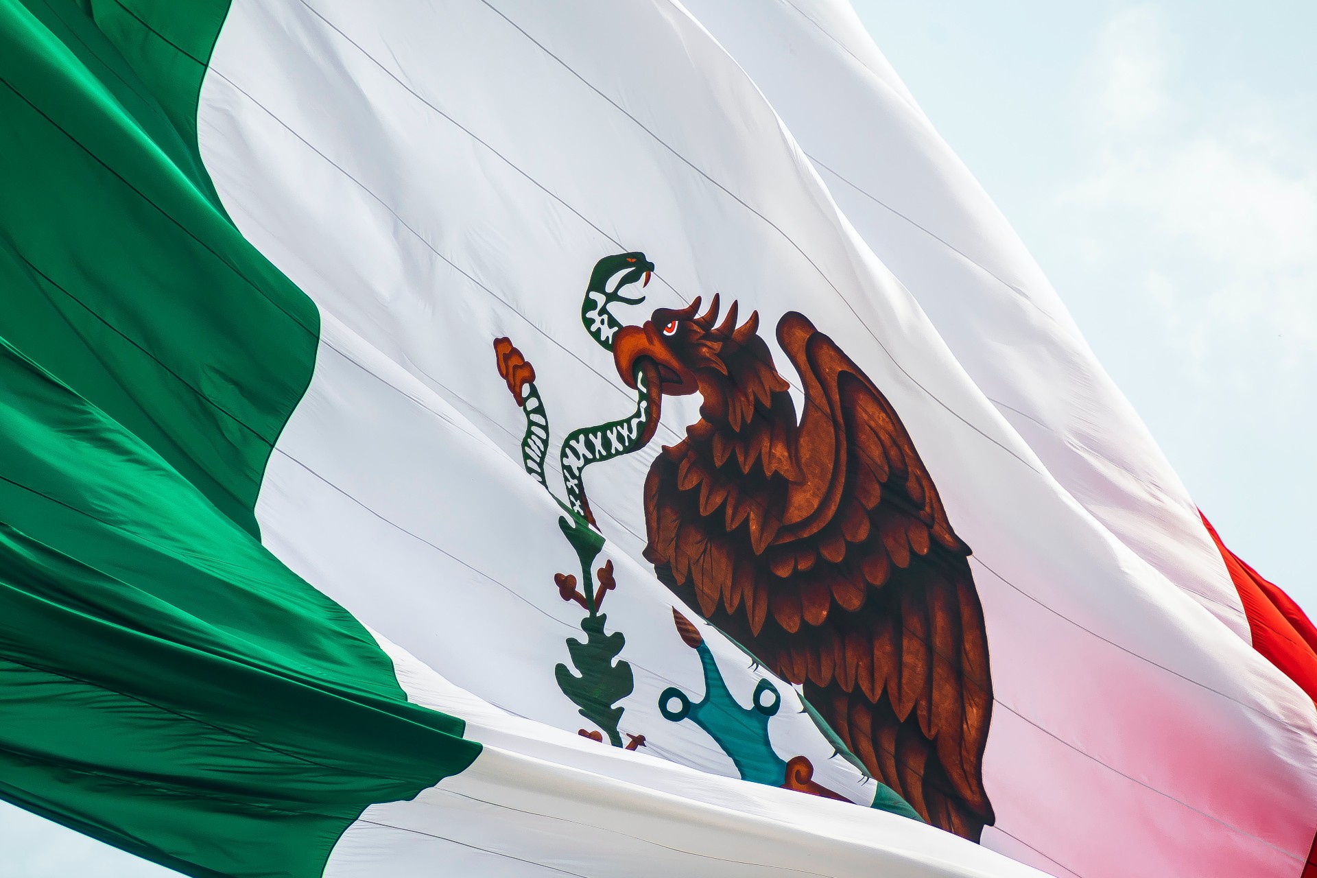 Del av Mexikos flagga