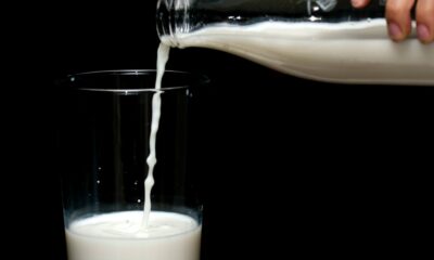 Mjölk hälls i glas