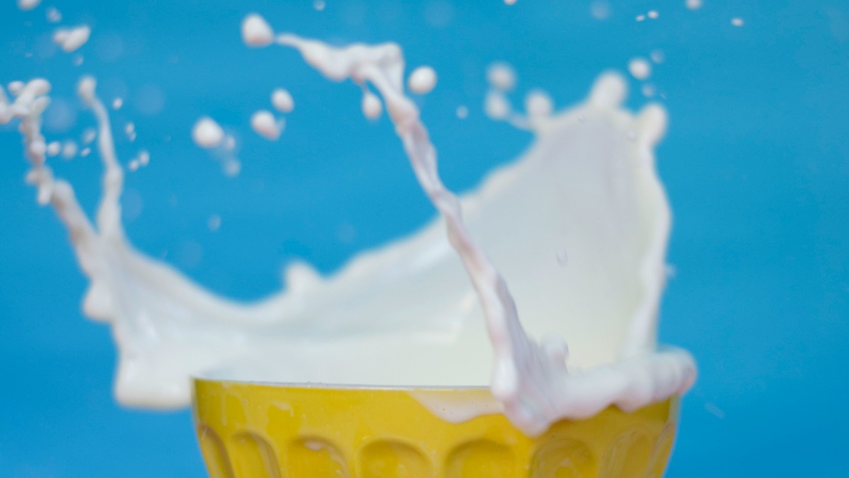 Mjölk-splash