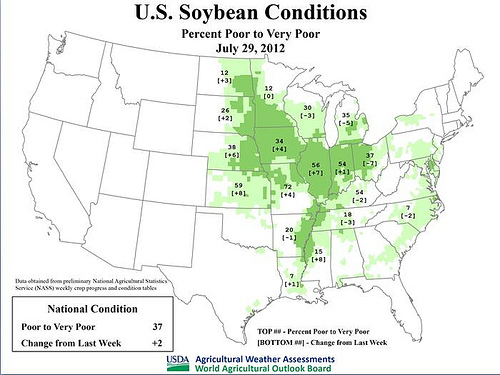 Situationen för odlarna av sojabönor i USA