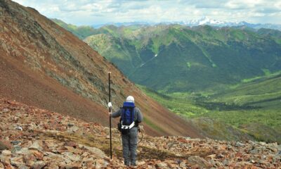 Snowline Golds Rogue-projekt