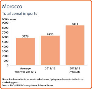 Spannmålsimport i Marocko