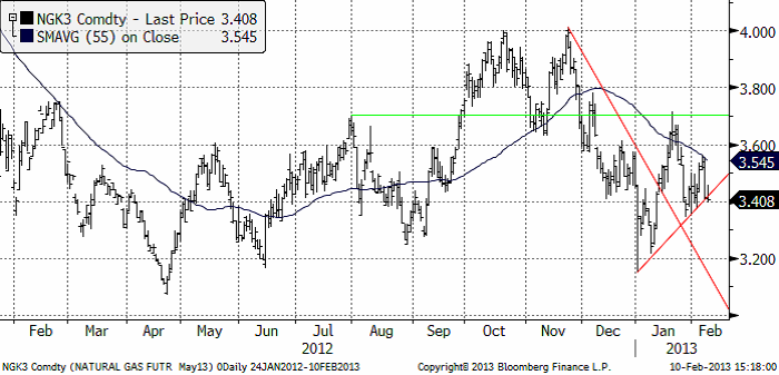 TA på naturgaspriset den 11 februari 2013