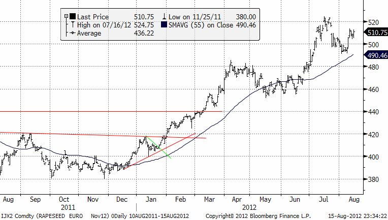 Teknisk prognos på rapspriset - 16 augusti 2012