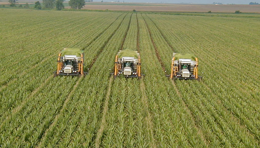 Trigon Agri - Jordbruksföretag som ger aktieutdelning