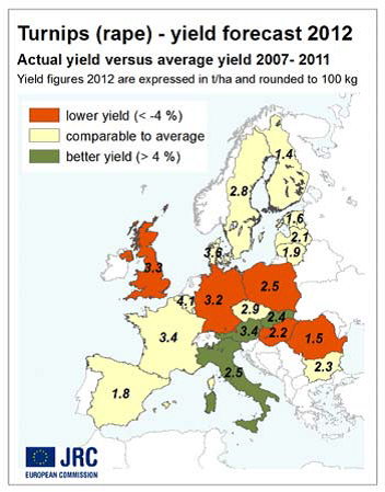 Turnips - Prognos på skörd av raps 2012