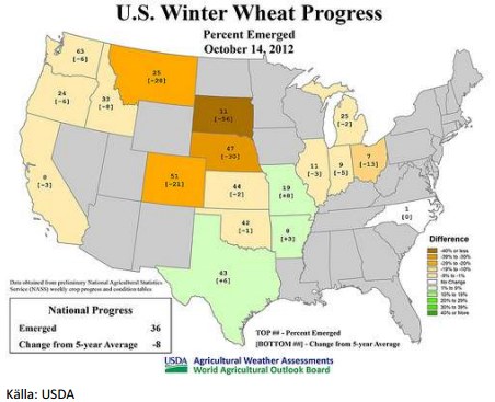 Vintervete - U.S. winter wheat progress
