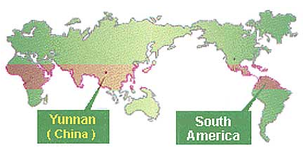Världskarta, Yunnan i Kina och Sydamerika