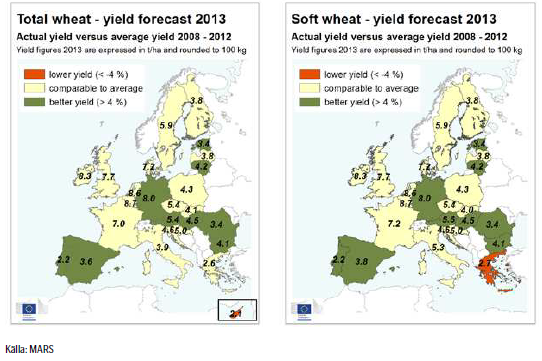 Veteprognoser, odling i Europa
