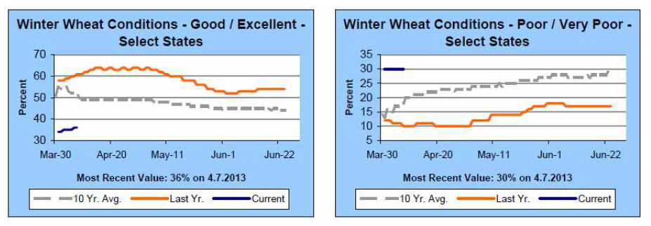 Wheat conditions